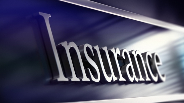 Shielding Your Small Business: Understanding the Essentials of Insurance