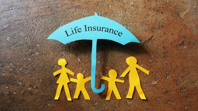 Safeguarding Your Small Business: The Power of Liability Insurance